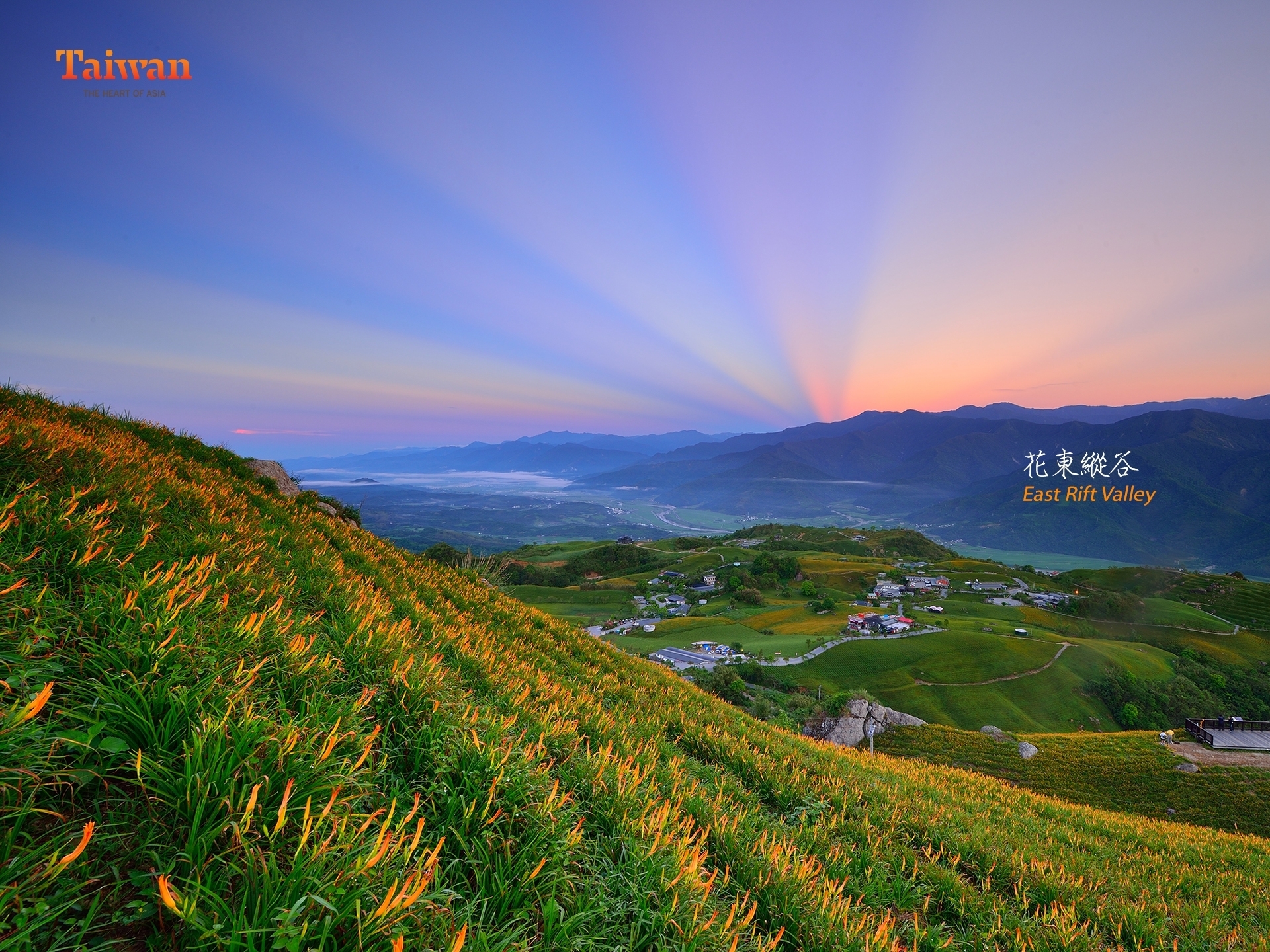 花東縱谷六十石山
