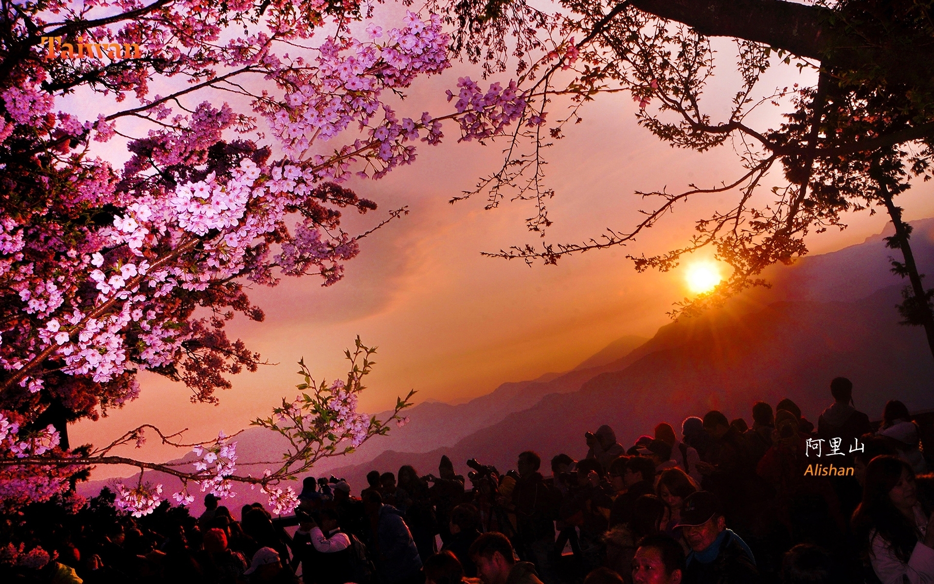 阿里山